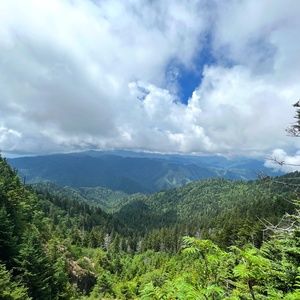 Meet your Posher, Cat.